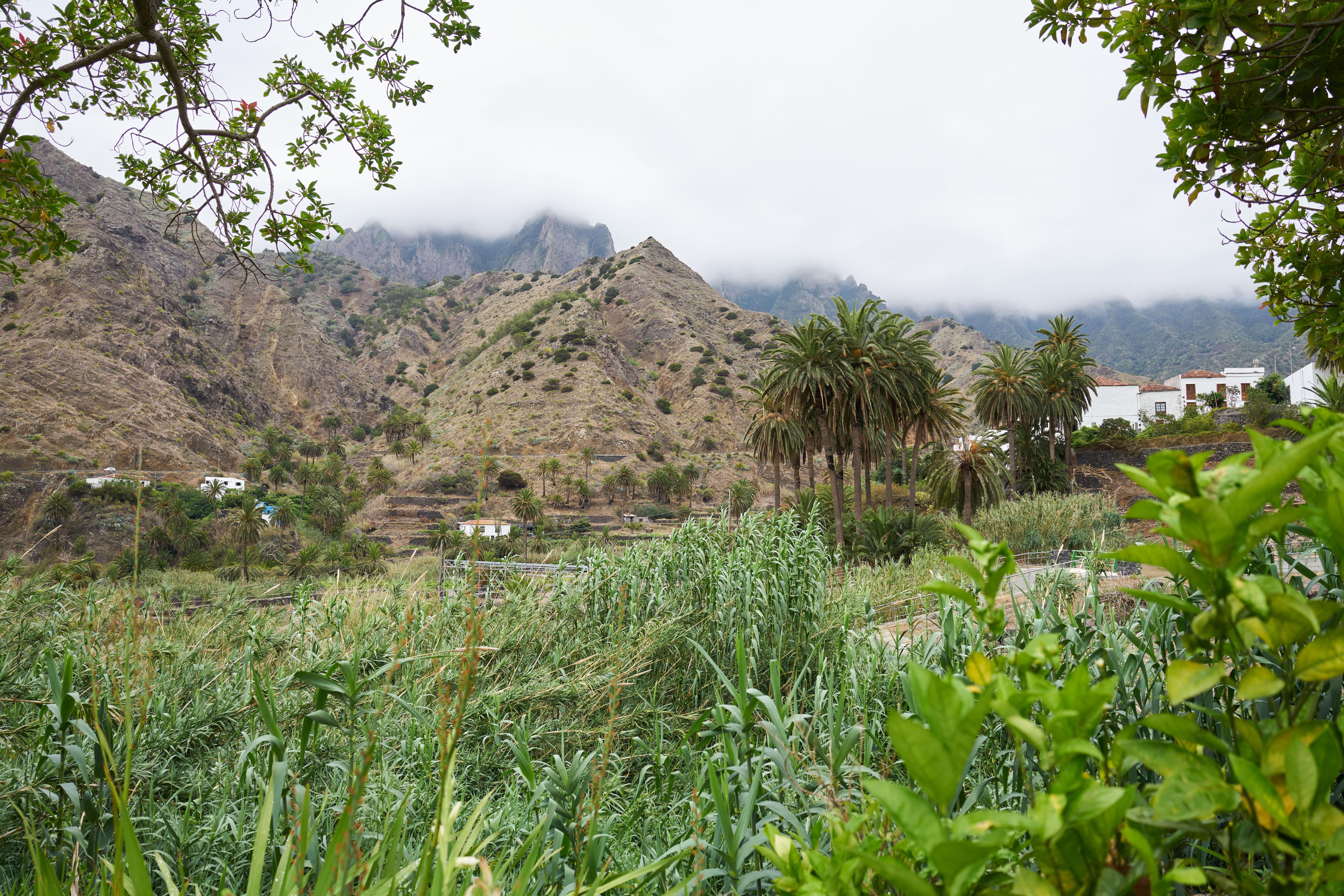Finca Pinero Hermigua Kültér fotó
