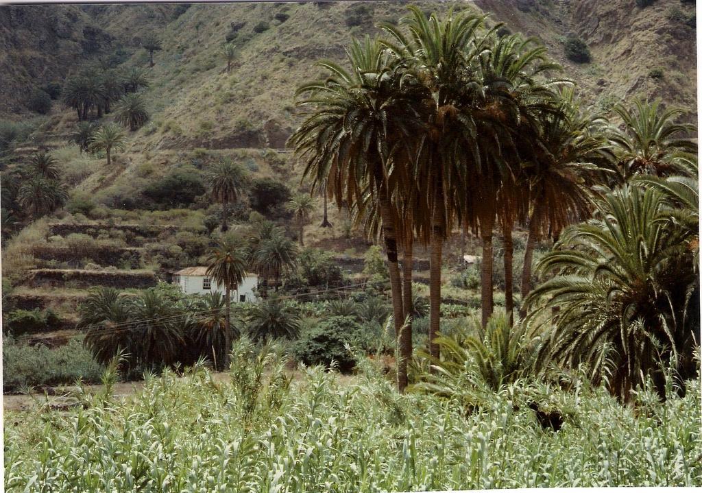 Finca Pinero Hermigua Kültér fotó